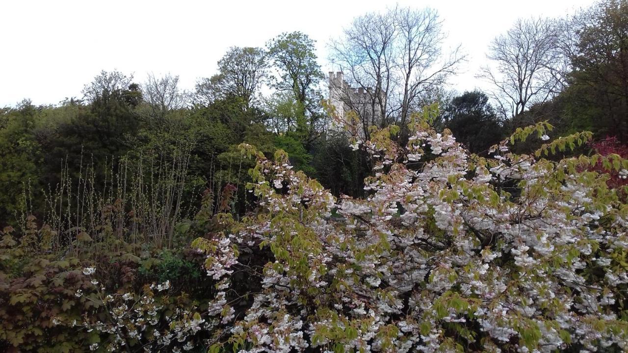 Longlane House B&B, Laugharne Extérieur photo