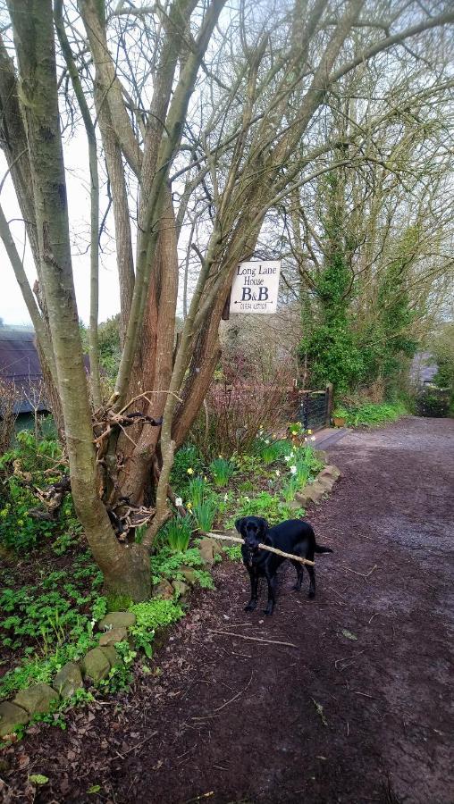 Longlane House B&B, Laugharne Extérieur photo